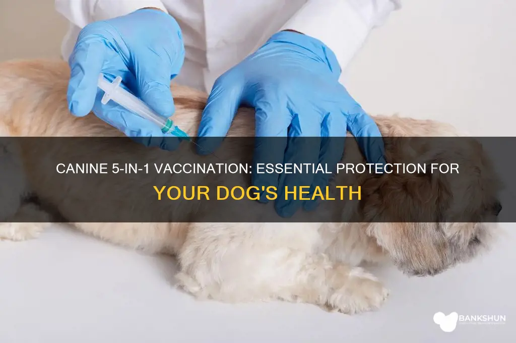what is canine 5 in 1 vaccination