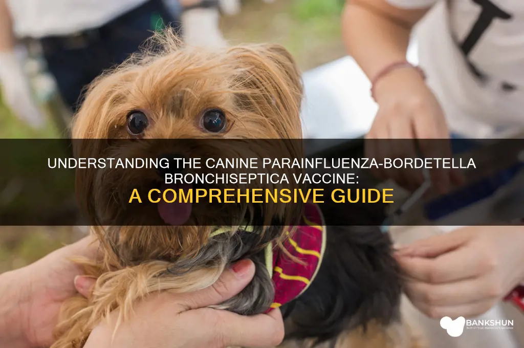 what is canine parainfluenza-bordetella bronchiseptica vaccine
