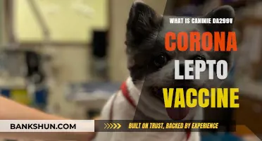Understanding the Canine DA2PPv Lepto Vaccine: Benefits and Importance
