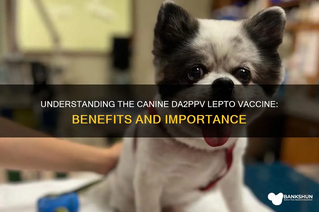 what is caninie da299v corona lepto vaccine