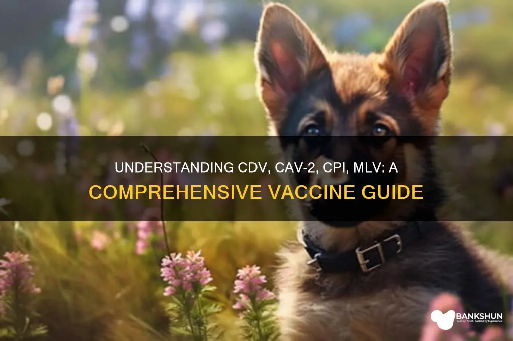 what is cdv cav2 cpi mlv vaccine