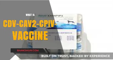 Understanding the CDV-CAV2-CPIV-CPV Vaccine: Uses, Benefits, and Importance