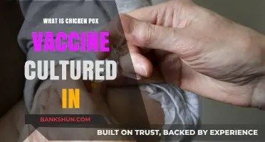 Chicken Pox Vaccine: Understanding Its Culture Medium and Development