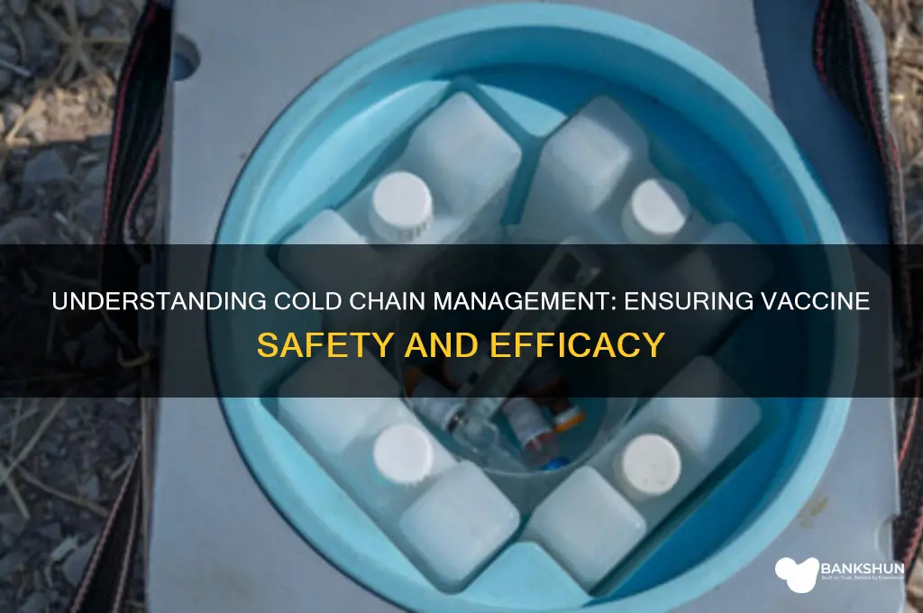 what is cold chain management of vaccines