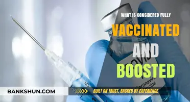 Fully Vaccinated and Boosted: Understanding COVID-19 Immunity Requirements
