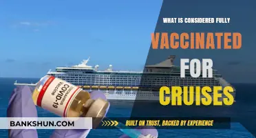 Fully Vaccinated for Cruises: Understanding Current Requirements and Guidelines