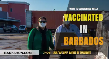 Understanding Barbados' COVID-19 Vaccination Requirements: Fully Vaccinated Status Explained