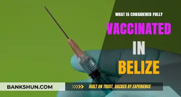 Understanding Belize's COVID-19 Vaccination Requirements: Fully Vaccinated Status Explained