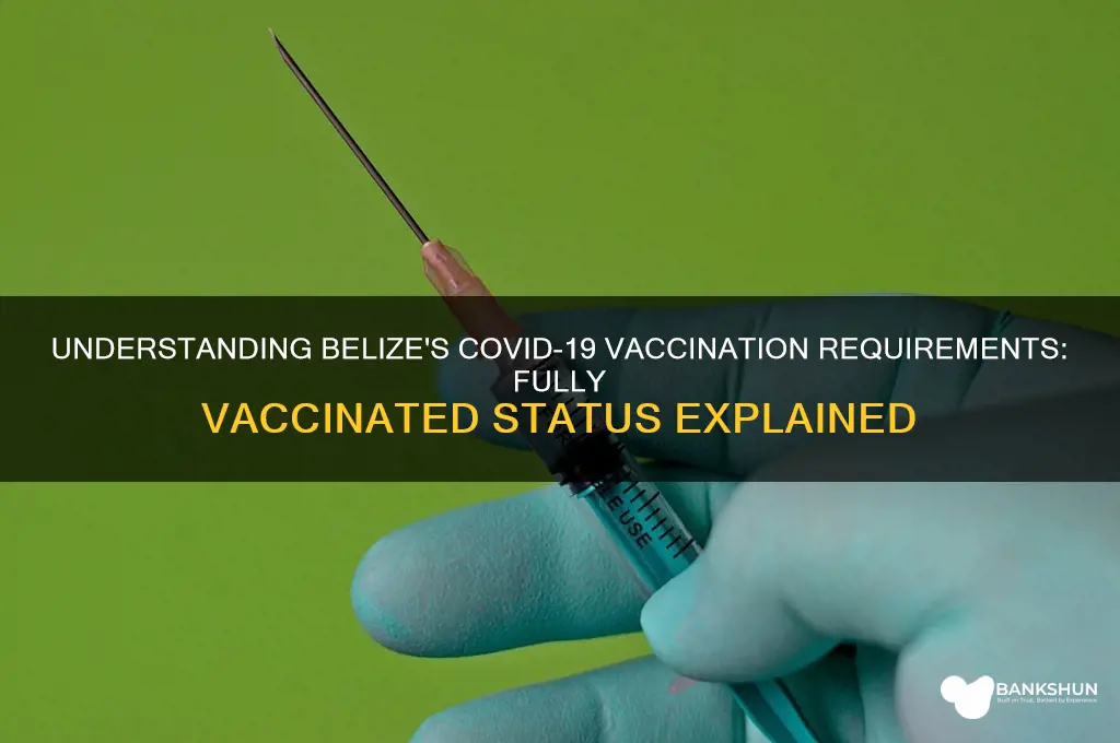 what is considered fully vaccinated in belize