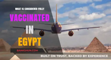 Understanding Egypt's COVID-19 Vaccination Requirements: What's Fully Vaccinated?