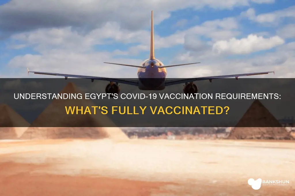 what is considered fully vaccinated in egypt