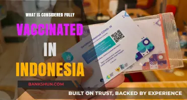 Understanding Indonesia's COVID-19 Vaccination Requirements: Fully Vaccinated Status Explained