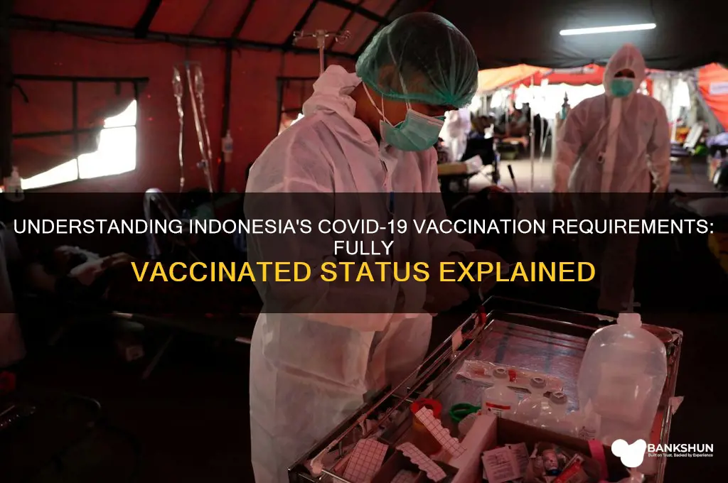 what is considered fully vaccinated in indonesia