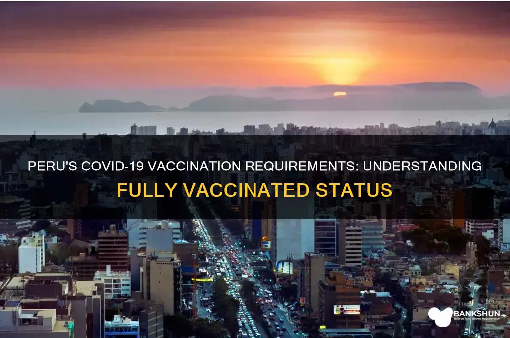 what is considered fully vaccinated in peru
