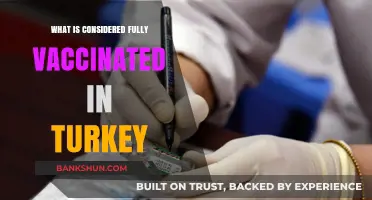 Fully Vaccinated in Turkey: Understanding the Current COVID-19 Requirements