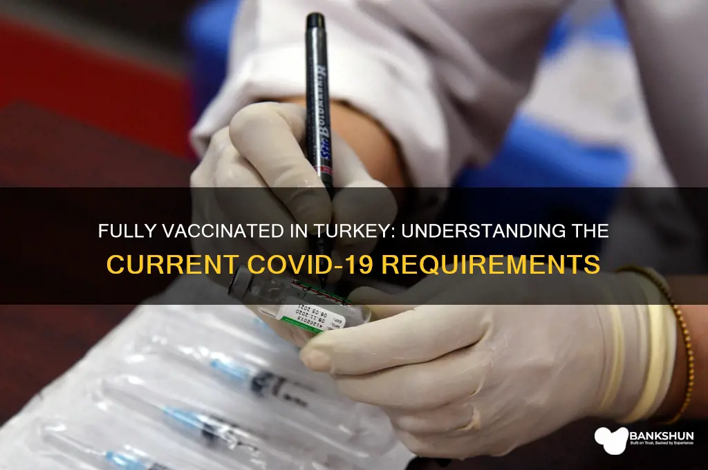 what is considered fully vaccinated in turkey