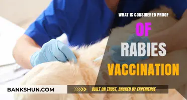 Understanding Proof of Rabies Vaccination: What Documents Are Accepted?