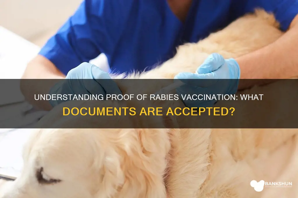 what is considered proof of rabies vaccination
