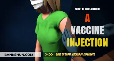 Unveiling Vaccine Components: What’s Inside a Vaccine Injection?