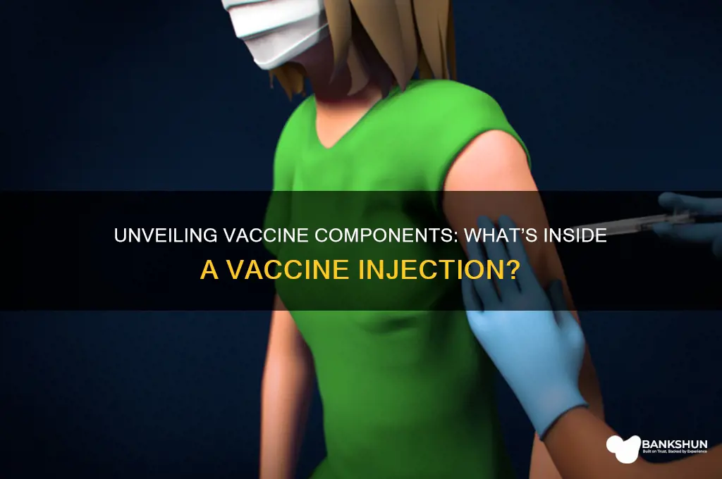 what is contained in a vaccine injection