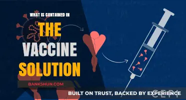 Unveiling Vaccine Components: What’s Inside the Solution and Why