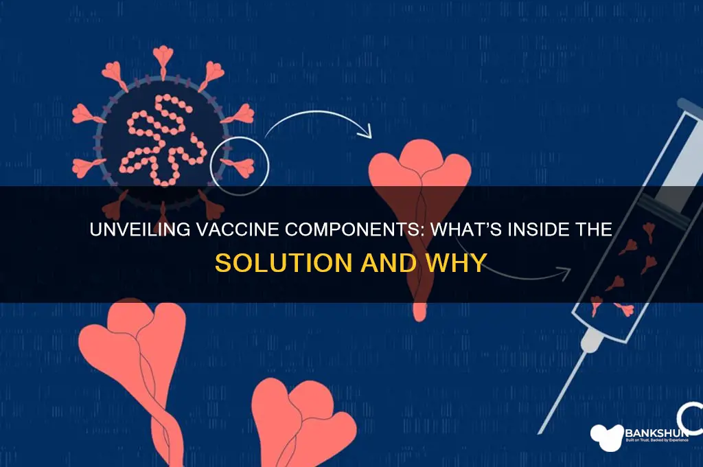 what is contained in the vaccine solution
