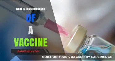 Unveiling Vaccine Components: Ingredients, Purpose, and Safety Explained