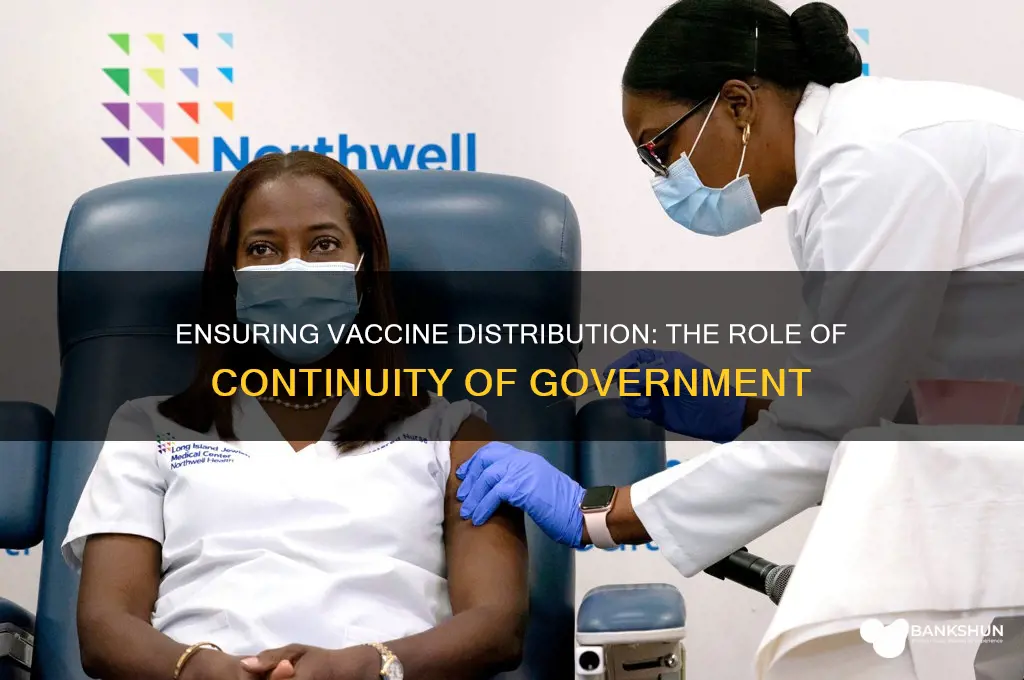 what is continuity of government for vaccine