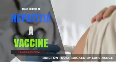 Understanding Hepatitis A Vaccine Costs: A Comprehensive Guide for Travelers