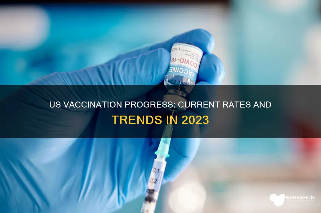 what is current vaccination rate in us
