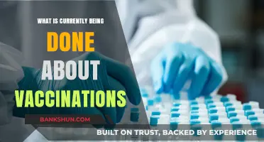 Global Efforts and Innovations in Vaccination Campaigns Today