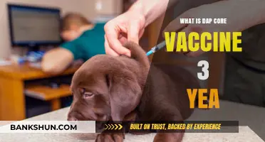 Understanding DAP Core Vaccine for 3-Year-Old Pets: A Complete Guide