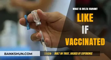 Delta Variant Symptoms and Risks for Vaccinated Individuals Explained