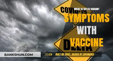 Delta Variant Symptoms Post-Vaccination: What You Need to Know