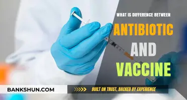 Antibiotics vs. Vaccines: Understanding Their Unique Roles in Health