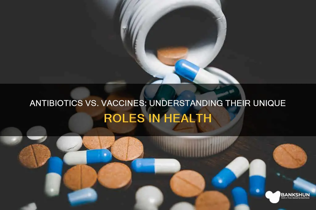 what is difference between antibiotic and vaccine