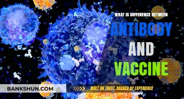 Antibodies vs. Vaccines: Understanding Their Unique Roles in Immunity