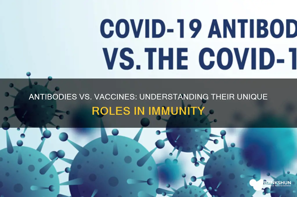 what is difference between antibody and vaccine