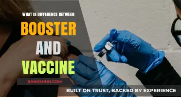 Boosters vs. Vaccines: Understanding the Key Differences and Purposes