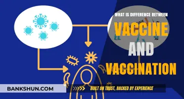 Vaccine vs. Vaccination: Understanding the Key Differences and Importance