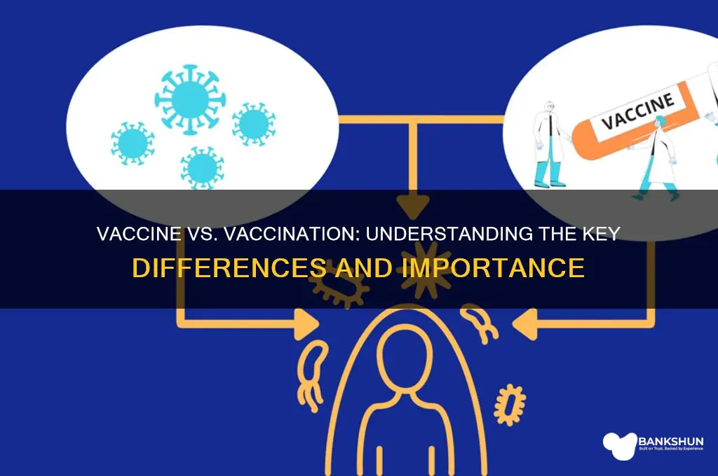 what is difference between vaccine and vaccination