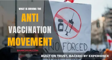 Unraveling the Rise of Anti-Vaccination Beliefs: Causes and Concerns