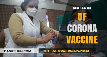 Understanding the Dry Run of the COVID-19 Vaccine: A Comprehensive Guide