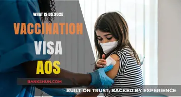 Understanding DS-3025 Vaccination Requirements for Visa and AOS Applications