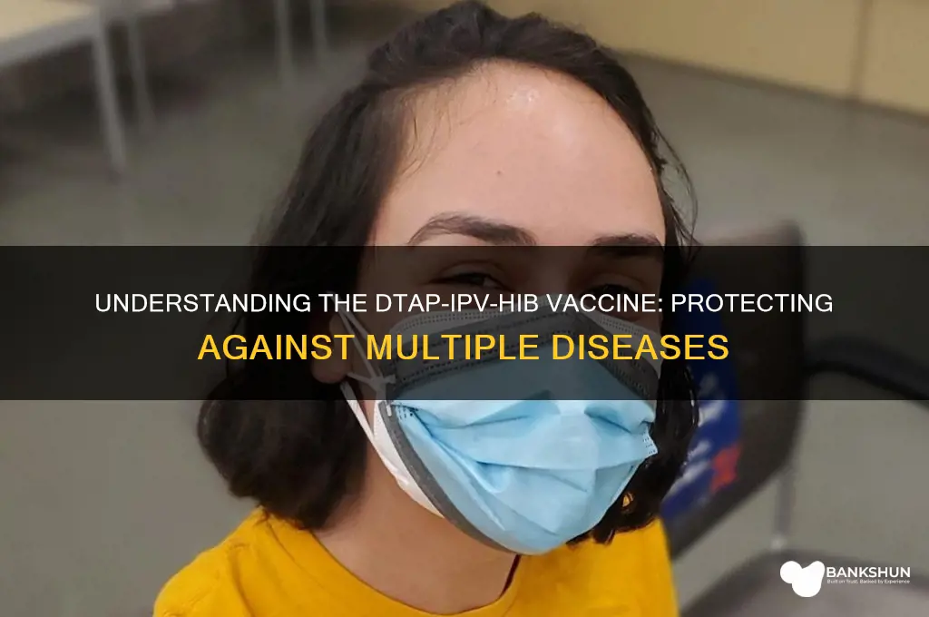 what is dtap ipv hib vaccine for