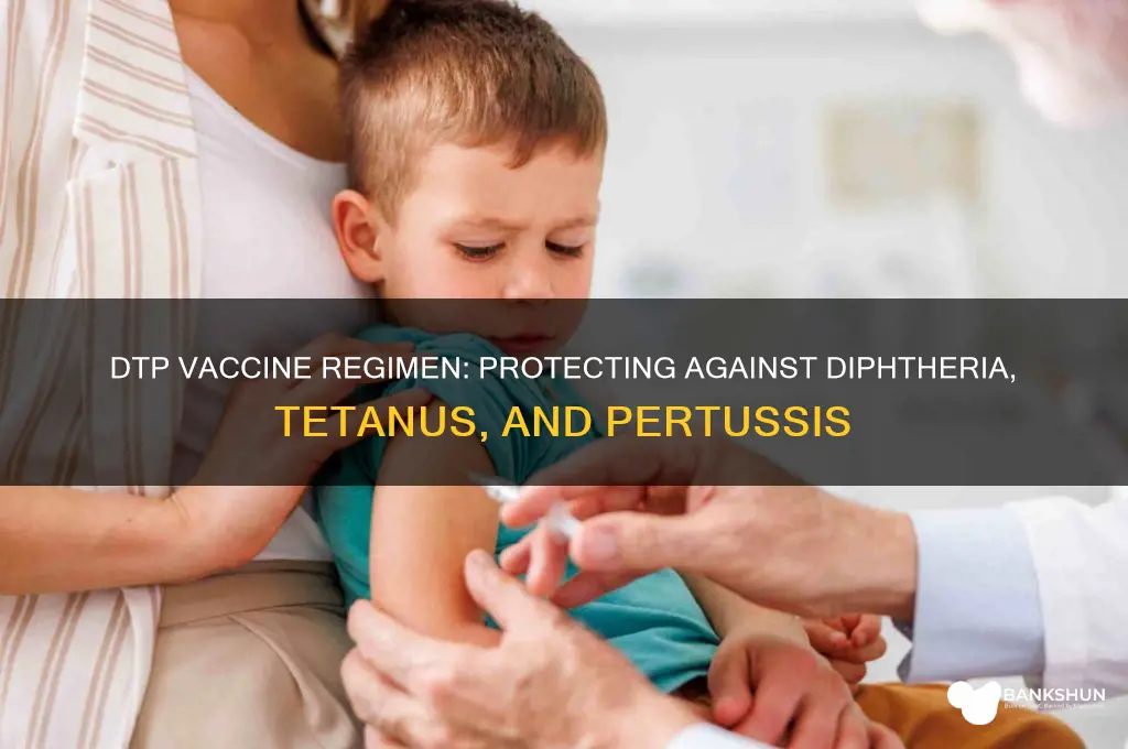 what is dtp vaccine regimine protect against