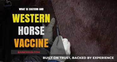 Eastern vs. Western Horse Vaccines: Key Differences and Uses Explained