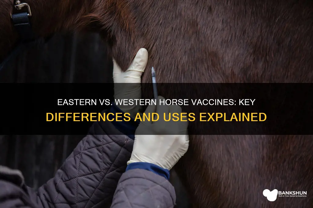 what is eastern and western horse vaccine