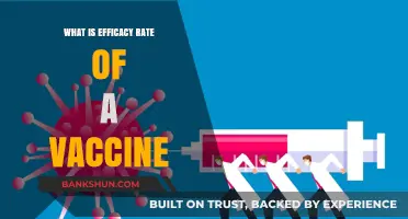 Understanding Vaccine Efficacy: What Does the Rate Really Mean?