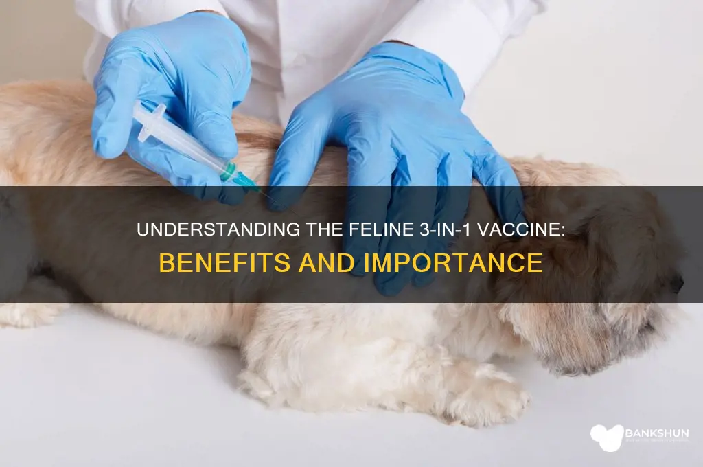 what is feline 3 in 1 vaccine